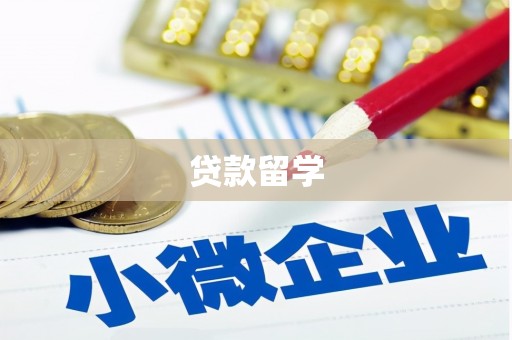 文水贷款留学