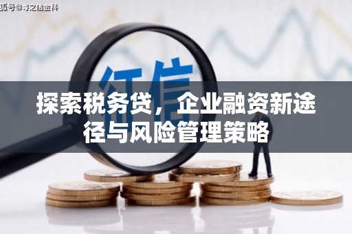 文水探索税务贷，企业融资新途径与风险管理策略
