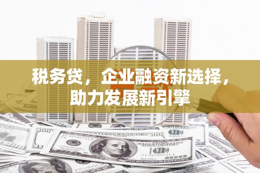 文水税务贷，企业融资新选择，助力发展新引擎