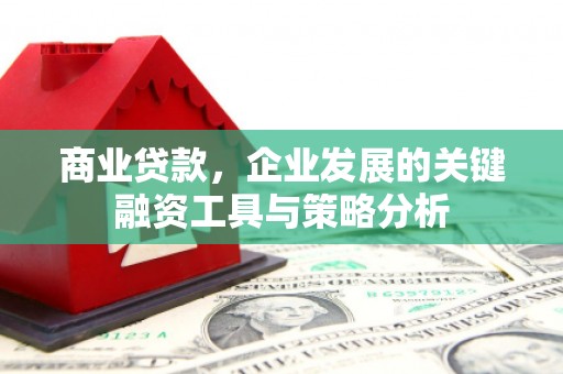 文水商业贷款，企业发展的关键融资工具与策略分析