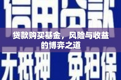 文水贷款购买基金，风险与收益的博弈之道