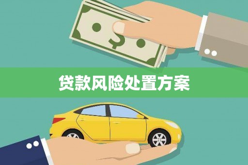 文水贷款风险处置方案