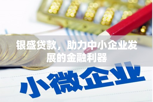 文水银盛贷款，助力中小企业发展的金融利器