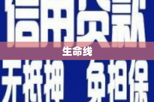 文水生命线