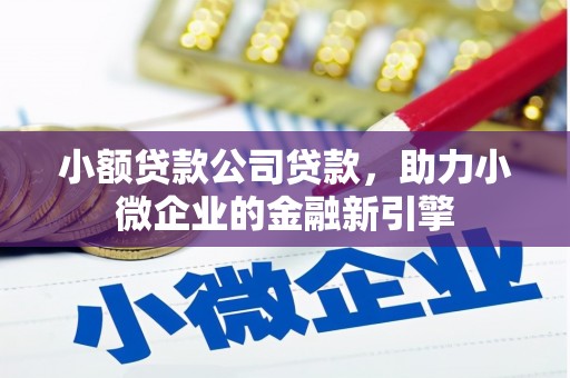 文水小额贷款公司贷款，助力小微企业的金融新引擎