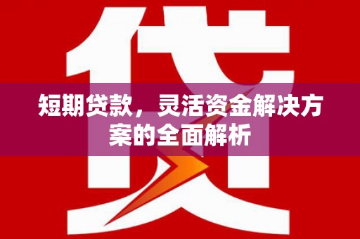 文水短期贷款，灵活资金解决方案的全面解析