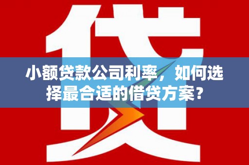 文水小额贷款公司利率，如何选择最合适的借贷方案？