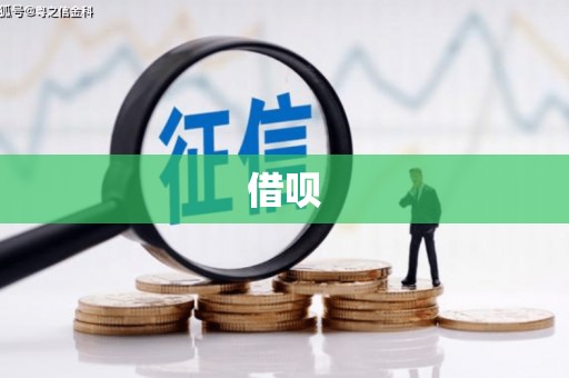 文水借呗