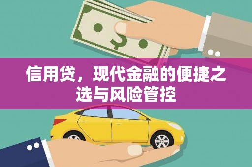 文水信用贷，现代金融的便捷之选与风险管控