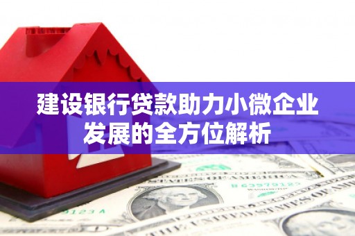 文水建设银行贷款助力小微企业发展的全方位解析