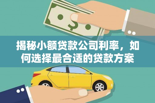 文水揭秘小额贷款公司利率，如何选择最合适的贷款方案