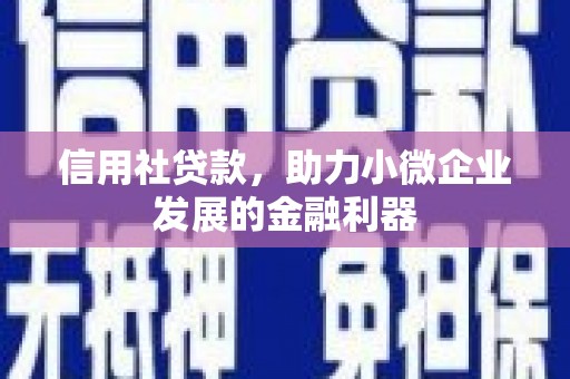 文水信用社贷款，助力小微企业发展的金融利器