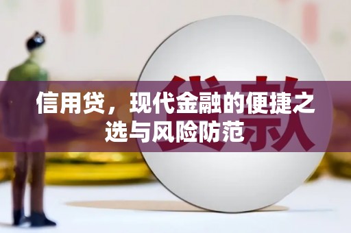 文水信用贷，现代金融的便捷之选与风险防范
