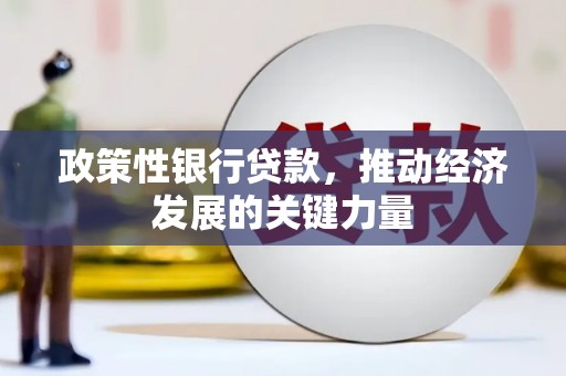 文水政策性银行贷款，推动经济发展的关键力量