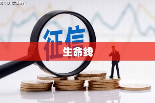 文水生命线