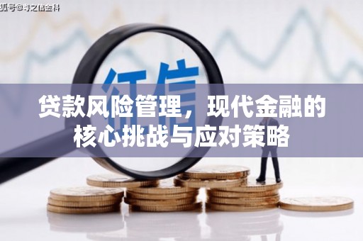 文水贷款风险管理，现代金融的核心挑战与应对策略