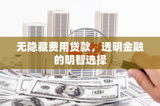 文水无隐藏费用贷款，透明金融的明智选择