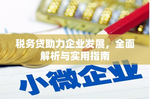 文水税务贷助力企业发展，全面解析与实用指南