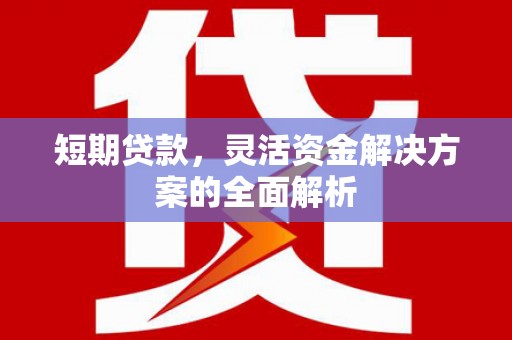 文水短期贷款，灵活资金解决方案的全面解析