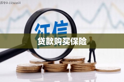 文水贷款购买保险