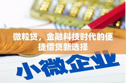 文水微粒贷，金融科技时代的便捷借贷新选择