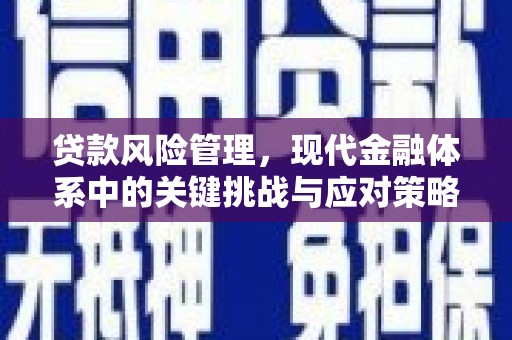 文水贷款风险管理，现代金融体系中的关键挑战与应对策略