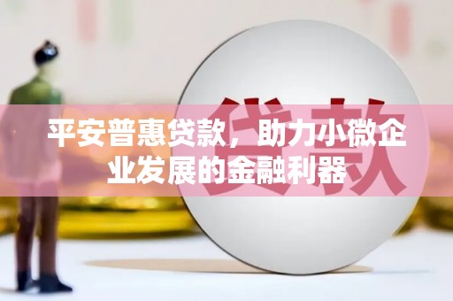 文水平安普惠贷款，助力小微企业发展的金融利器
