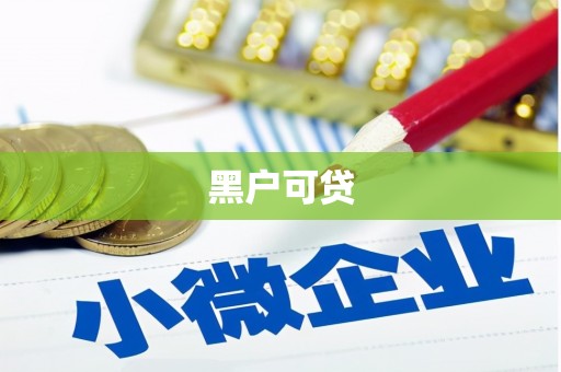 文水黑户可贷