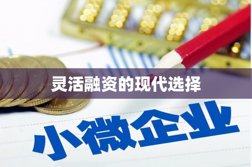 文水灵活融资的现代选择