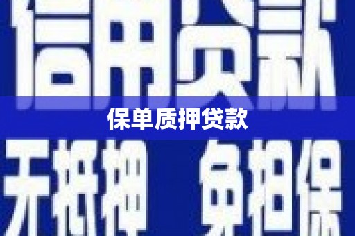 文水保单质押贷款