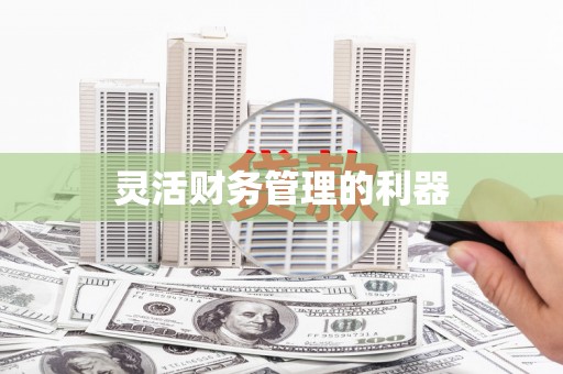 文水灵活财务管理的利器