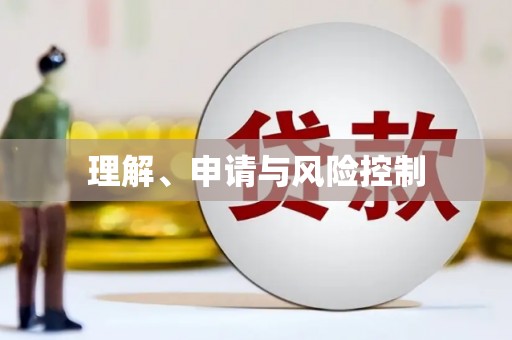 文水理解、申请与风险控制