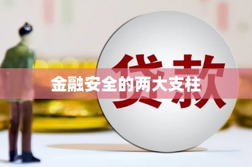 文水金融安全的两大支柱