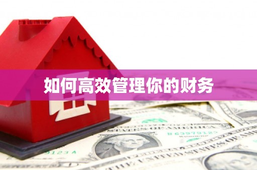 文水如何高效管理你的财务