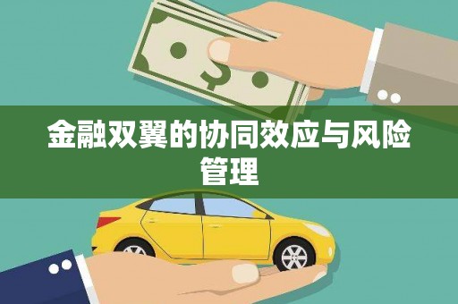 文水金融双翼的协同效应与风险管理